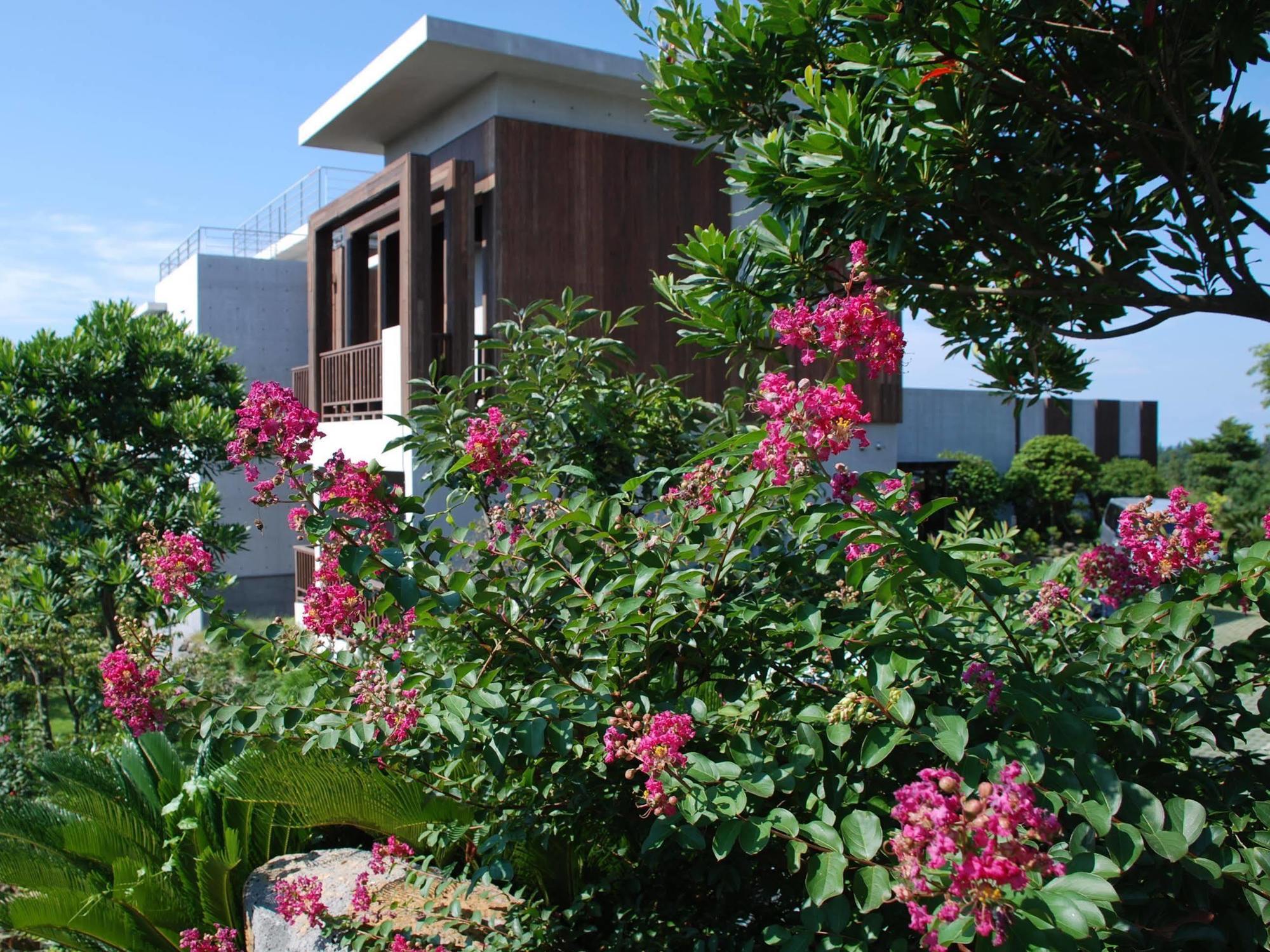 Jeju Eco Suites Seogwipo Extérieur photo
