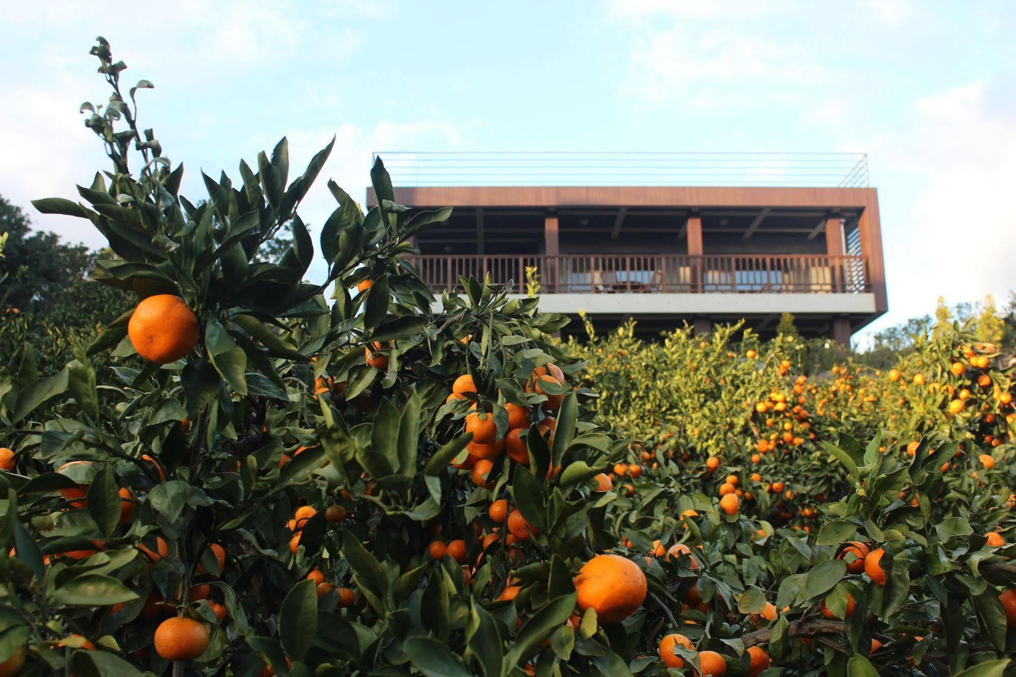 Jeju Eco Suites Seogwipo Extérieur photo